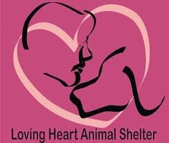 Loving Heart Animal Shelter Hospital